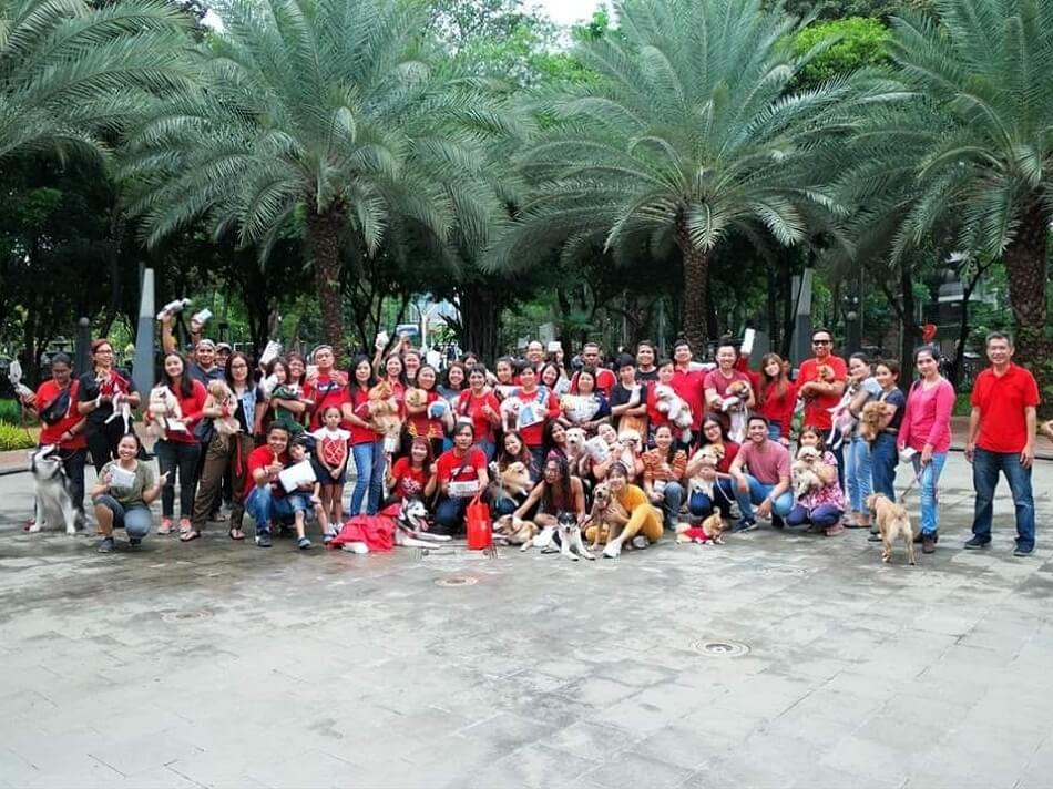 Keseruan acara gathering mingguan Jakarta Dog Lovers di Taman Kodok